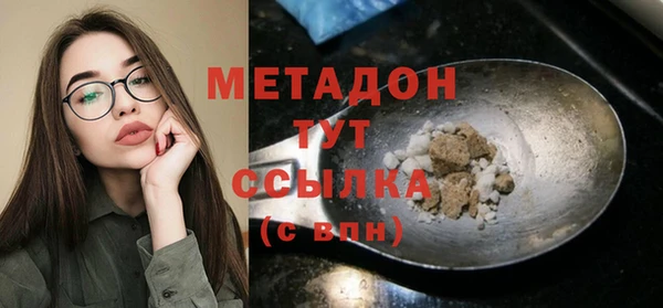гидра Вяземский