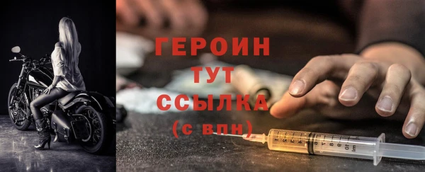 прущие грибы Верхний Тагил