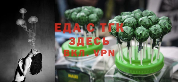 гидра Вяземский