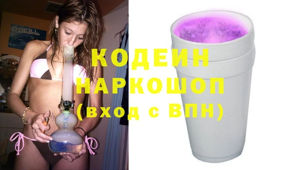прущие грибы Верхний Тагил