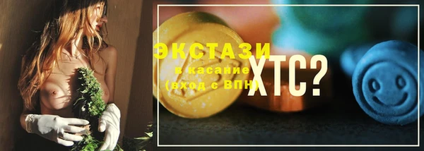 прущие грибы Верхний Тагил