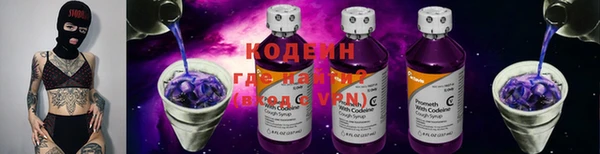 гидра Вяземский