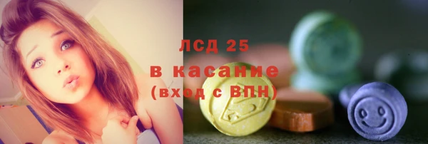 гидра Вяземский