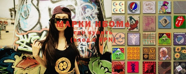 гидра Вяземский