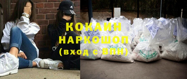 прущие грибы Верхний Тагил