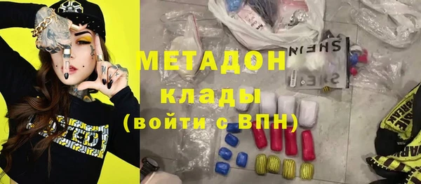 прущие грибы Верхний Тагил